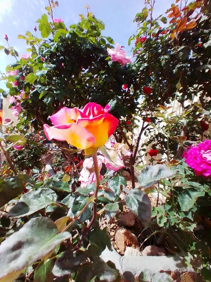 Las/Rosas Оргас Экстерьер фото